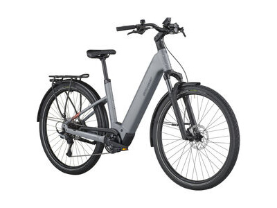 BERGAMONT E-Horizon Sport 10 Wave stone grey click to zoom image