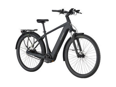 BERGAMONT E-Horizon Tour 20 Belt click to zoom image