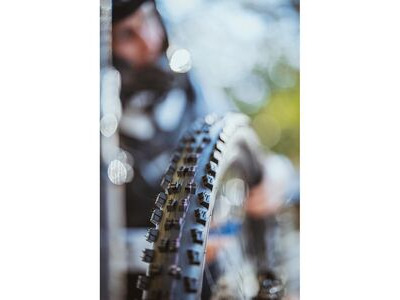 SCHWALBE Tacky Chan Evo S/Downhill TLE 29x2.40 Fold Blk click to zoom image