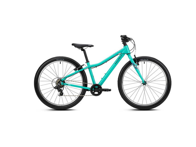 RIDGEBACK MX24 Mighty Mint click to zoom image