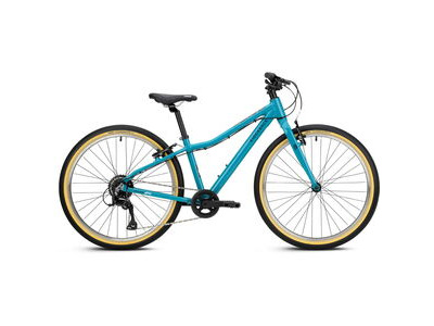 RIDGEBACK Dimension 24 Turbo Teal